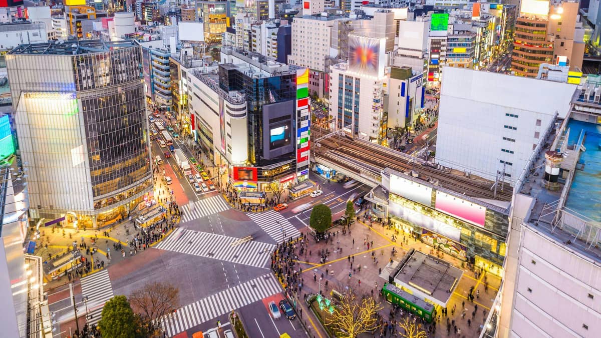 Shibuya Crossing & Hachiko Statue